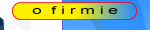 O firmie
